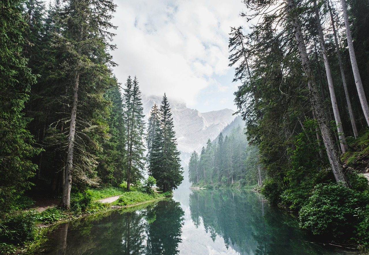 river, trees, mountains-1866579.jpg